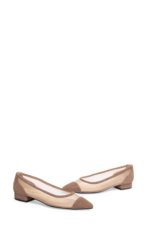 Shop Jon Josef Ray Pointed Toe Flat In Haze Suede Combo