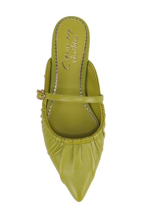 Shop Circus Ny By Sam Edelman Larissah Pointed Toe Mule In Cactus