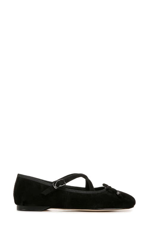 Circus Ny By Sam Edelman Zuri Ballet Flat In Black Suede