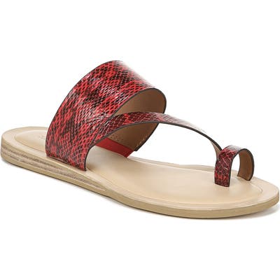 Sarto By Franco Sarto Leila Toe Loop Sandal- Red