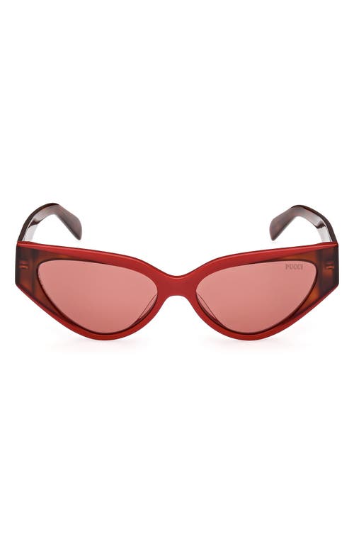 55mm Cat Eye Sunglasses in Red/Other /Bordeaux