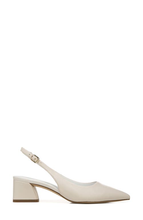 Shop Franco Sarto Racer Slingback Pointed Toe Pump In Putty/putty