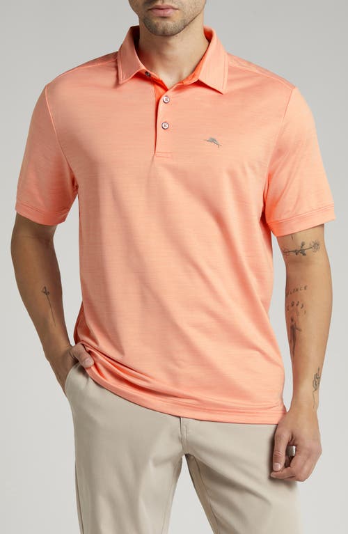 Tommy Bahama San Raphael IslandZone Performance Polo at Nordstrom,