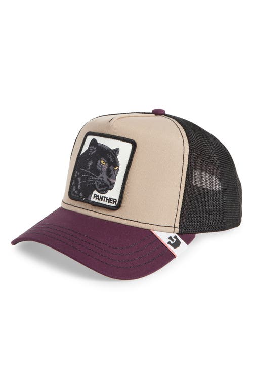 Goorin Bros . Panther Baseball Cap In Purple