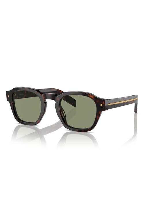 Prada Sunglasses With Iconic Metal Plaque In Green