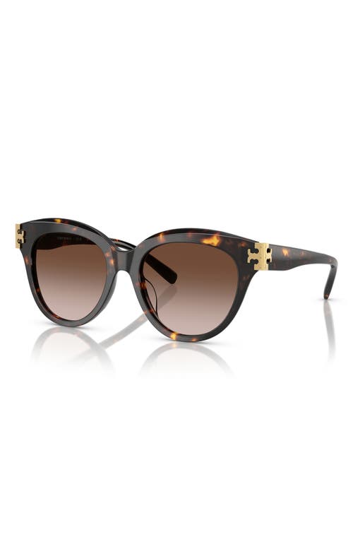Tory Burch 53mm Gradient Phantos Sunglasses In 20161353 Brown Tort