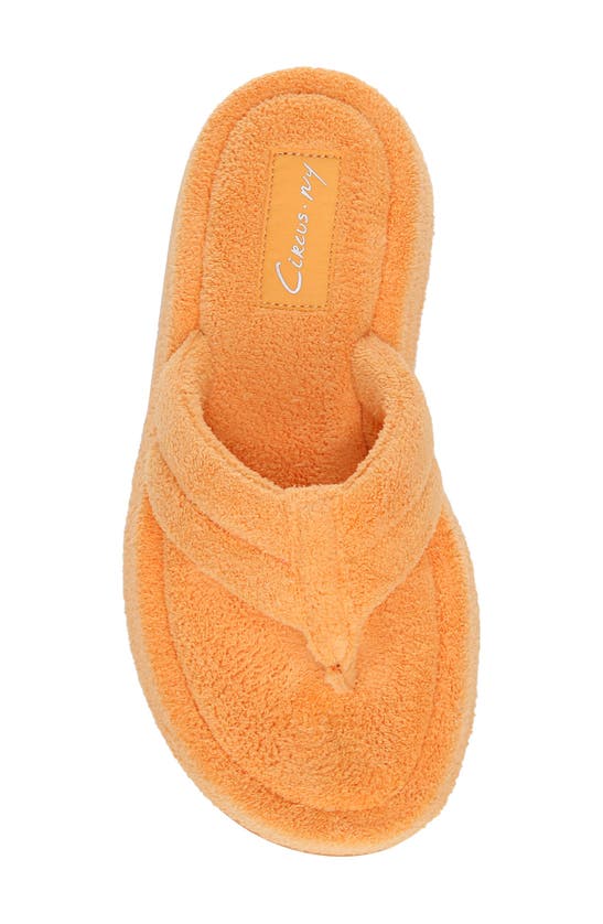Circus By Sam Edelman Laina Flip Flop In Orange Cream