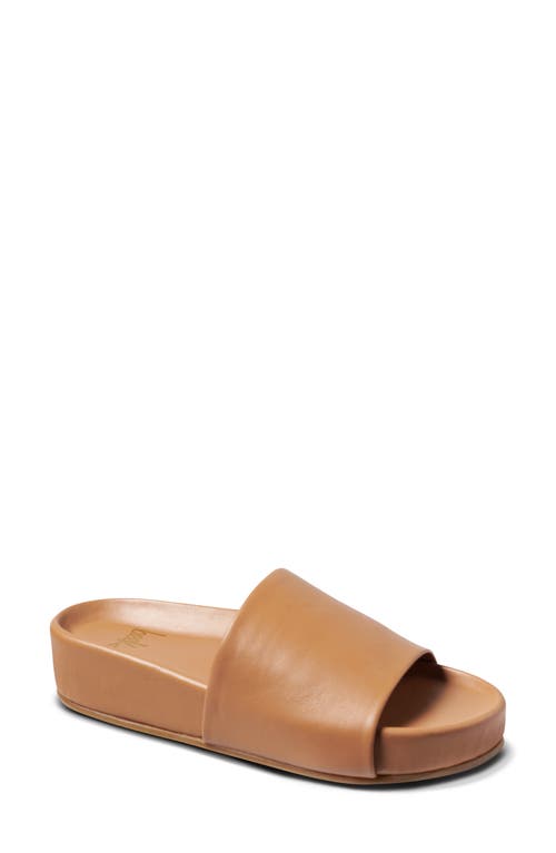 Shop Beek Pelican Slide Sandal In Honey