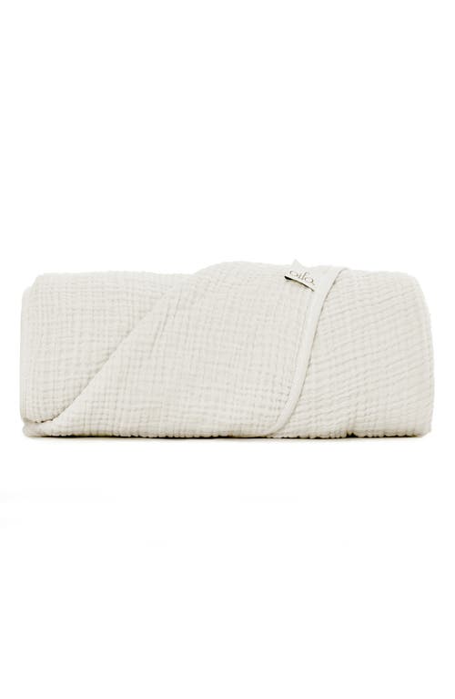 Oilo Organic Cotton Muslin Throw Blanket in Eggshell at Nordstrom