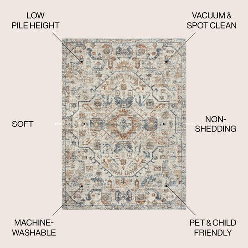 Jonathan Y Shaemus Bohemian Medallion Low-pile Machine-washable Area Rug In Cream/terra