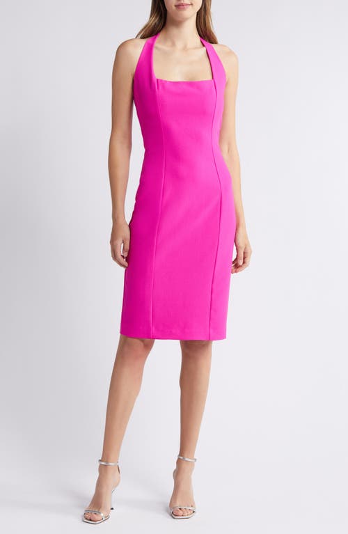 Shop Black Halo Zarela Halter Neck Sheath Cocktail Dress In Vibrant Pink