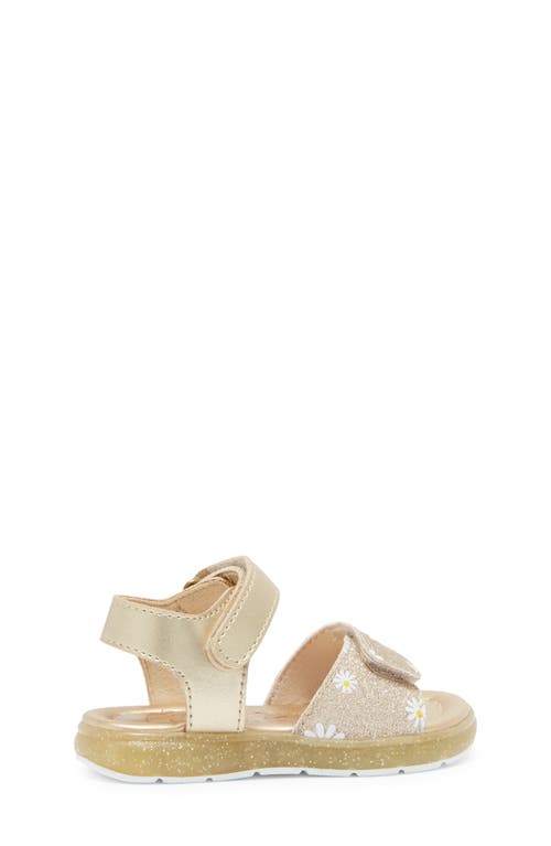 Shop Blowfish Footwear Kids' Marloon Sandal In Daisy Glitter/soft Gold