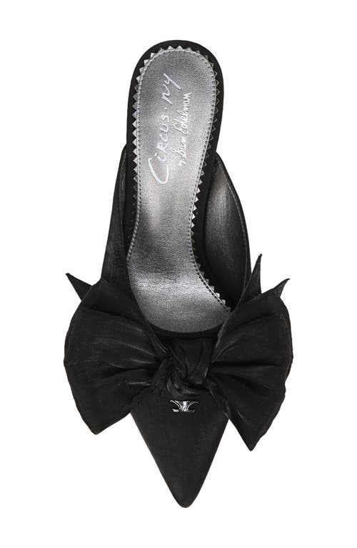 Circus Ny By Sam Edelman Fiona Pointed Toe Mule In Black