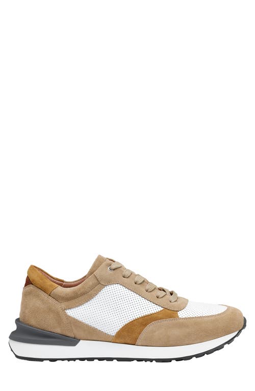 Johnston & Murphy Collection Briggs Perfed Lace-up Sneaker In Taupe/brown/white Italian