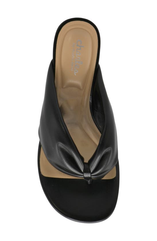 Charles By Charles David Shandy Wedge Sandal In Black