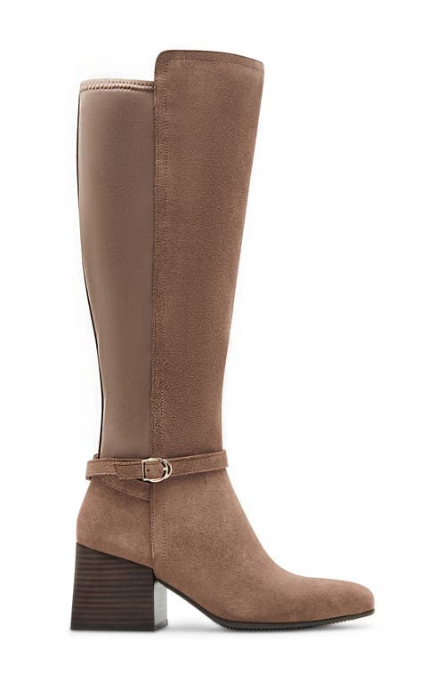 Shop Blondo Twyla Waterproof Knee High Suede Boot In Taupe Suede