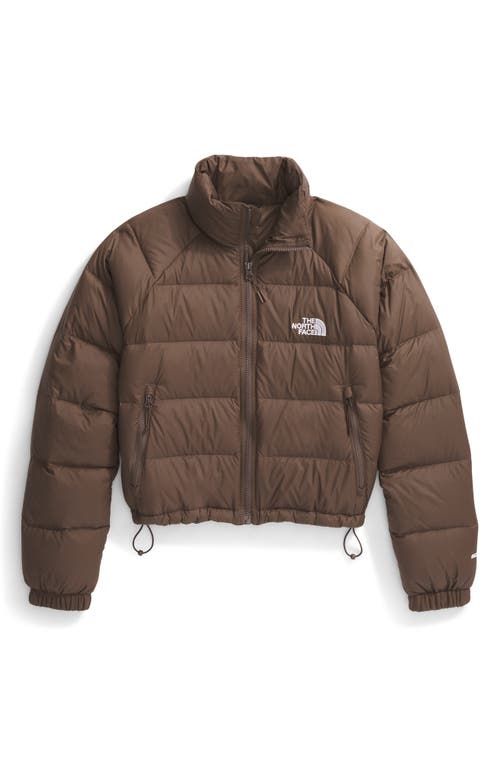 Shop The North Face Hydrenalite™ 600 Fill Power Down Water Repellent Jacket In Smokey Brown