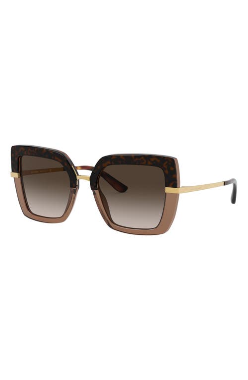 Shop Dolce & Gabbana Dolce&gabbana 52mm Square Sunglasses In Top Havana/brown Grad