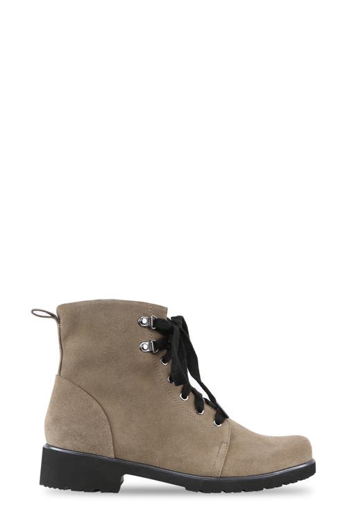 Shop Munro Hartley Combat Boot In Almond Suede