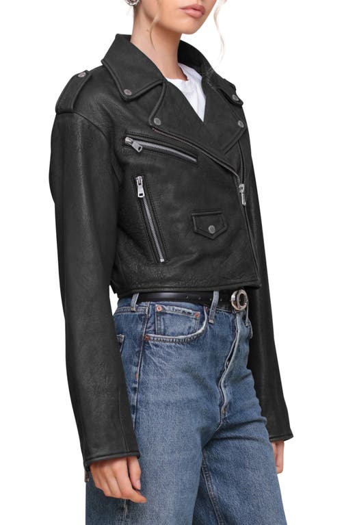 Shop Avec Les Filles Cropped Leather Biker Jacket In Black