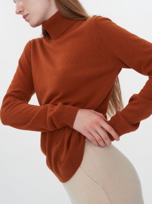 Shop Gobi Cashmere Classic Turtle Neck In Sugar Almond