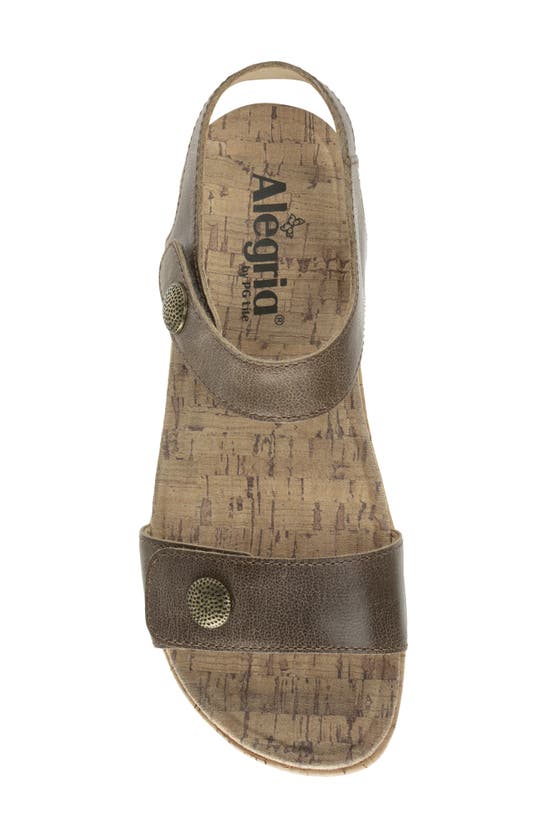 Shop Alegria By Pg Lite Marta Ankle Strap Platform Wedge Sandal In Stones Throw