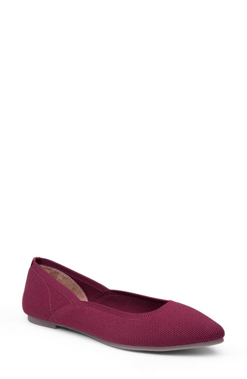 Linza Knit Ballet Flat in Ruby Red