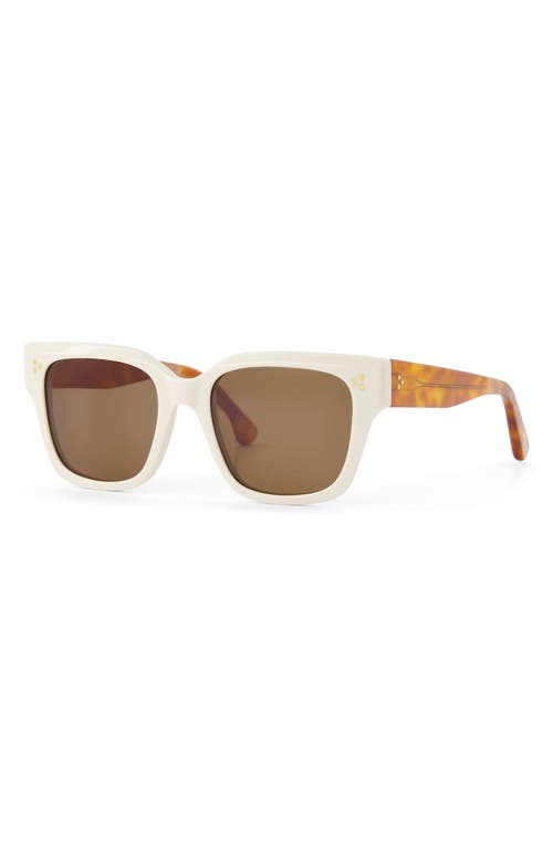 Shop Toms Madison 53mm Square Sunglasses In Chalk/honey Tortoise