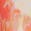 selected Orange Multi Sare Print color
