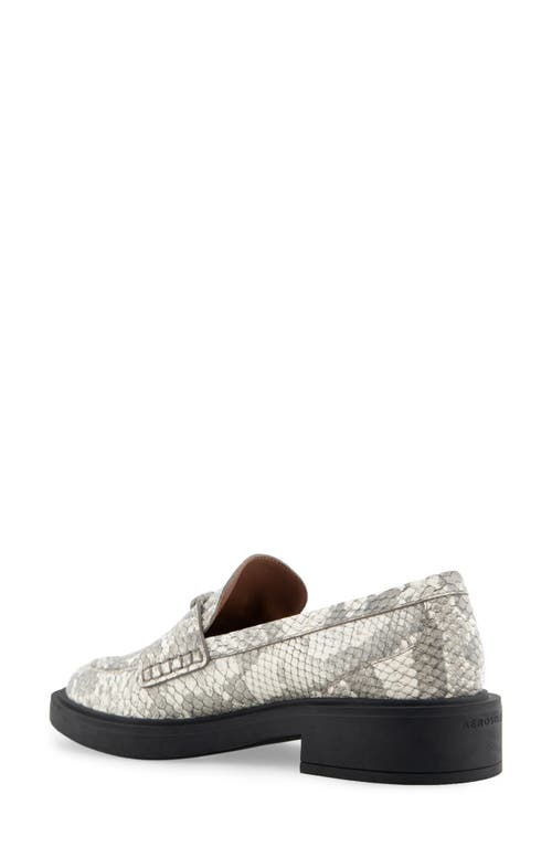 Shop Aerosoles Garett Penny Loafer In Roccia Snake Print Leather