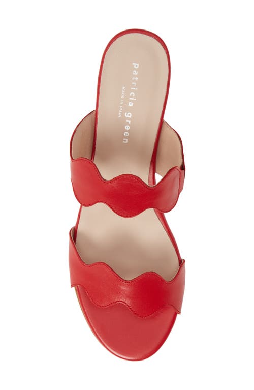 Shop Patricia Green Palm Beach Slide Sandal In Red/red Leather