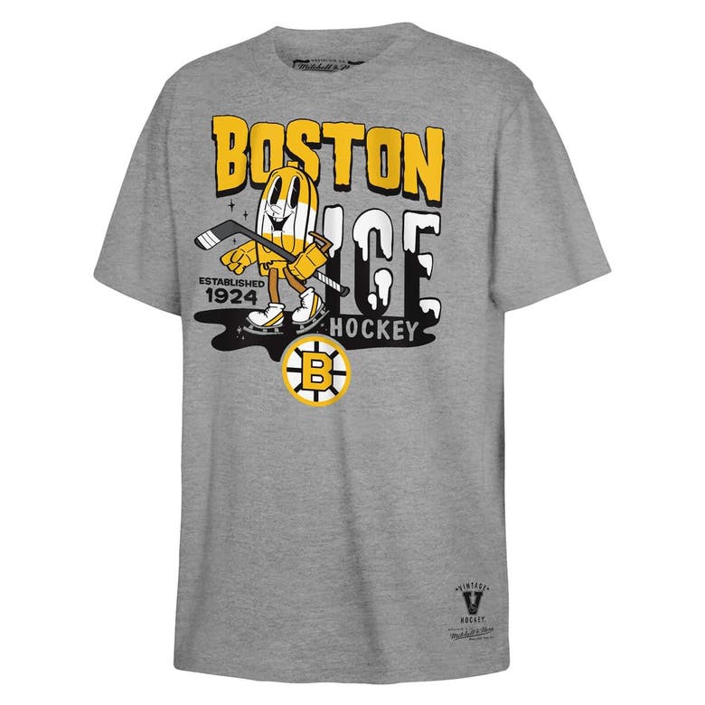 Shop Mitchell & Ness Youth  Gray Boston Bruins Popsicle T-shirt