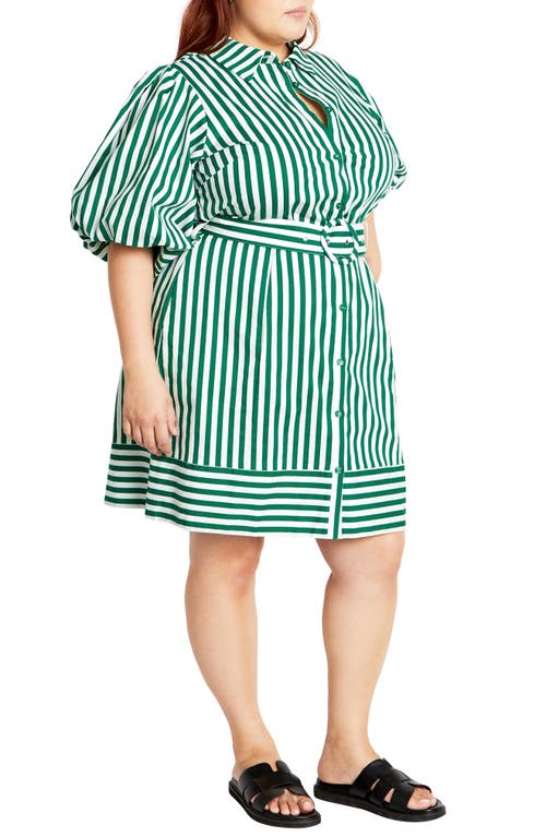 Shop City Chic May Stripe Stretch Poplin Shirtdress In Green Stripe