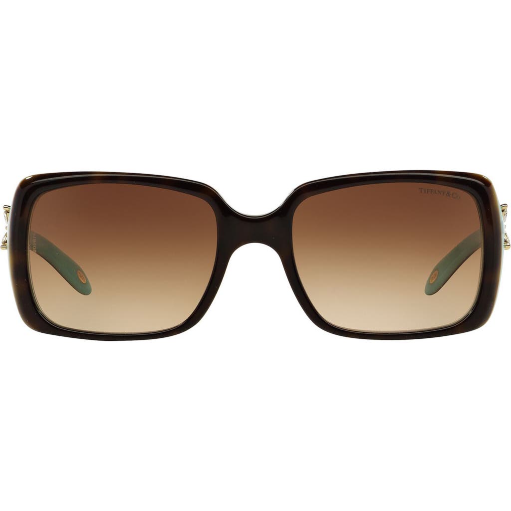 Tiffany & Co . 55mm Square Sunglasses In Top Havana/blue/brn Grad
