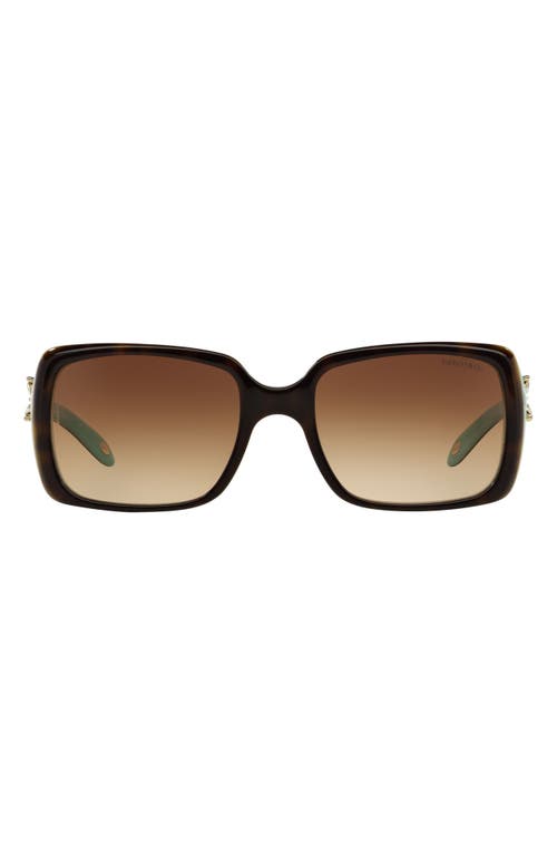 Tiffany & Co. 55mm Square Sunglasses in Top Havana/Blue/brn Grad at Nordstrom