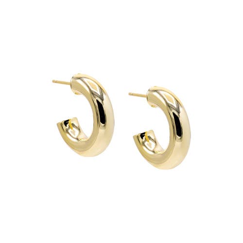 Shop Adina Eden By  Chunky Hollow Hoop Earring In Gold