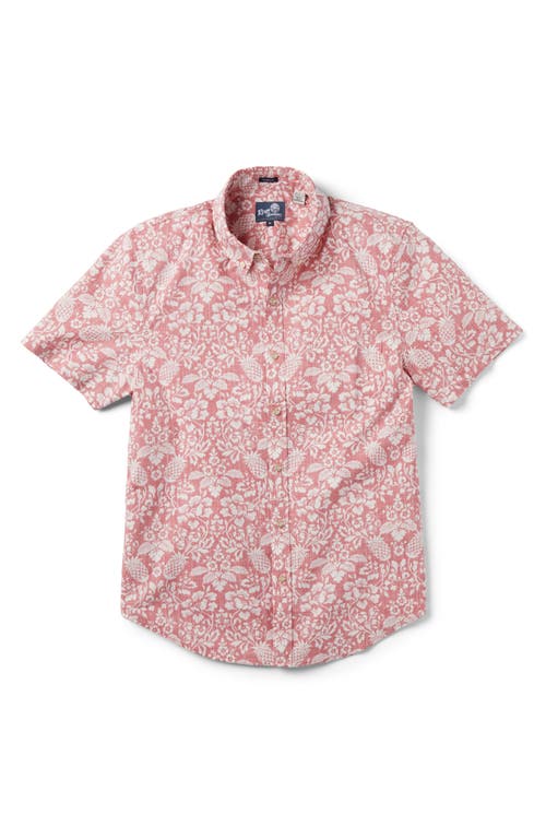 Oahu Harvest Tailored Fit Print Short Sleeve Button-Down Shirt in Nantucket Red