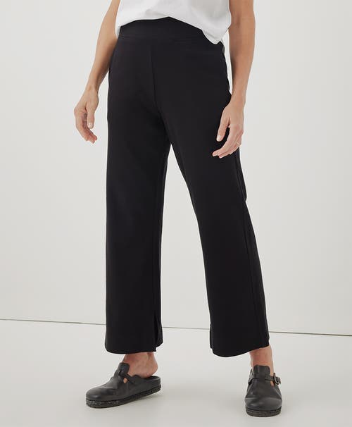 Shop Pact Organic Cotton Airplane Pant In Black