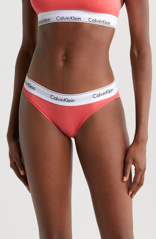 Shop Calvin Klein Modern Cotton Bikini In Calypso Coral