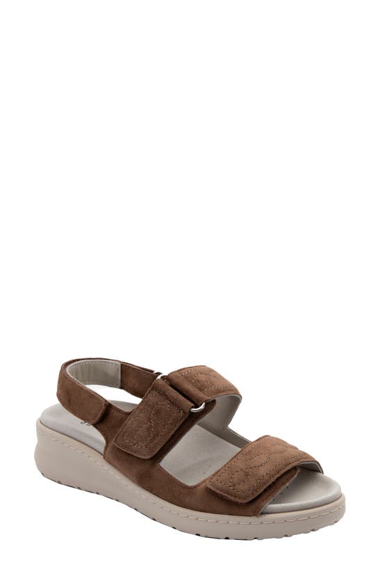 Shop David Tate Key Comfort Slingback Sandal In Brown