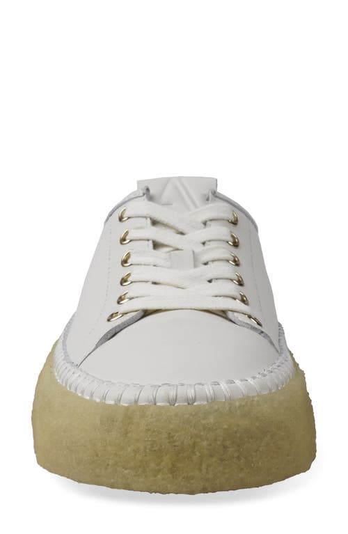 Artisan Crafted By Zigi Clover Low Top Sneaker In White Leather