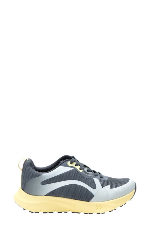 Alegria By Pg Lite Exhault Sneaker In Halo Yellow