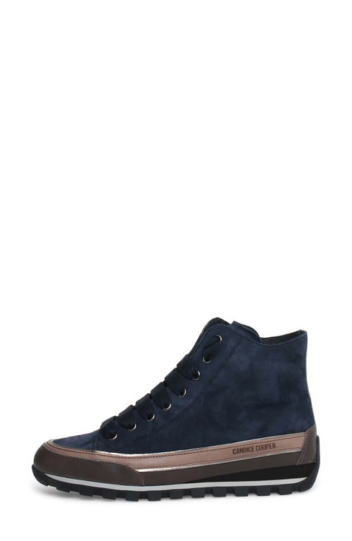 Candice Cooper Janis Strip High Top Sneaker In Navy