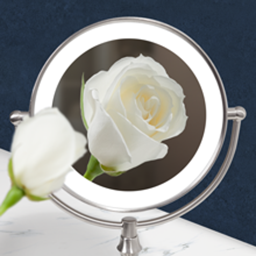 Zadro Lighted Makeup Mirror With 5x/1x Magnification & Touch Base Controls In Satin Nickel