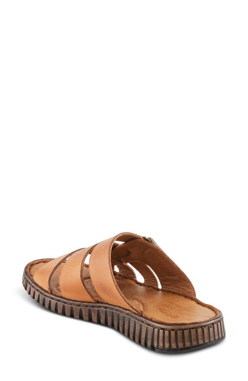 Shop Spring Step Olly Slide Sandal In Camel