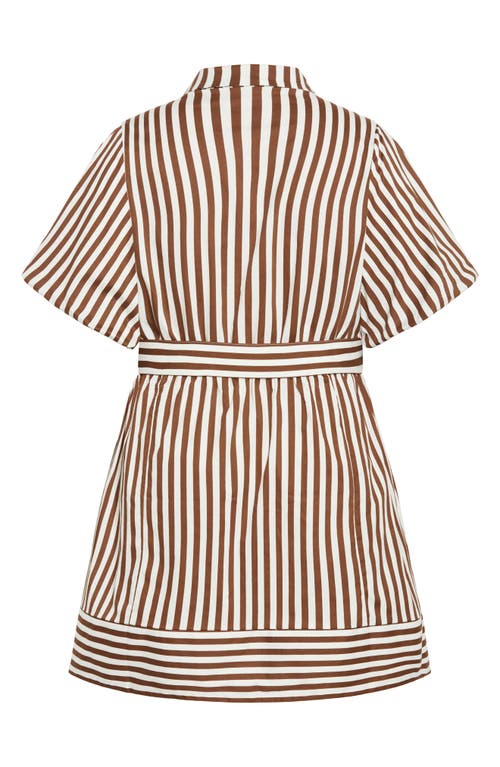 Shop City Chic May Stripe Stretch Poplin Shirtdress In Tabacco Stripe