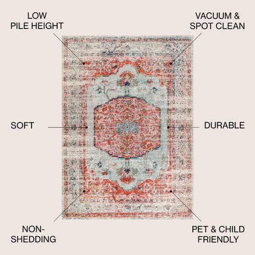 Jonathan Y Andalus Vintage Medallion Area Rug In Coral/ivory