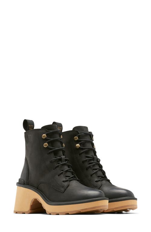 SOREL Hi-Line Lace-Up Boot in Black/Tawny Buff at Nordstrom, Size 5.5