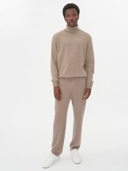 Shop Gobi Cashmere Turtle Neck In Taupe