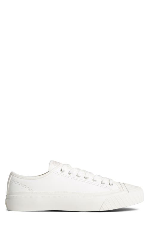 Shop Sperry Racquet Sneaker In White